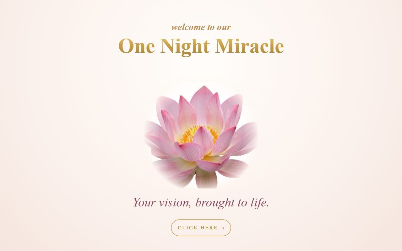 One Night Miracle — website homepage